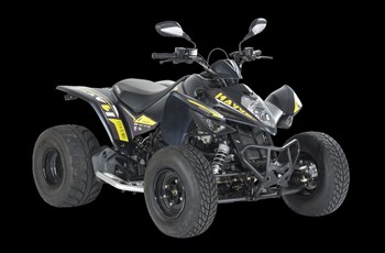 Kymco Maxxer S 300 T Onroad 2024 - Immagine 5