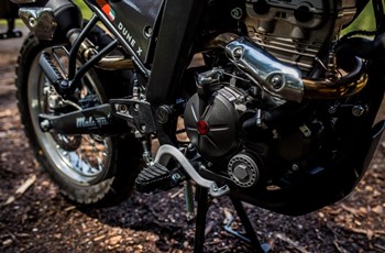 Malaguti Dune 125 X Black Edition 2024 - Bild 5