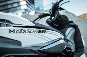 Malaguti Madison 125 2024 - Bild 5