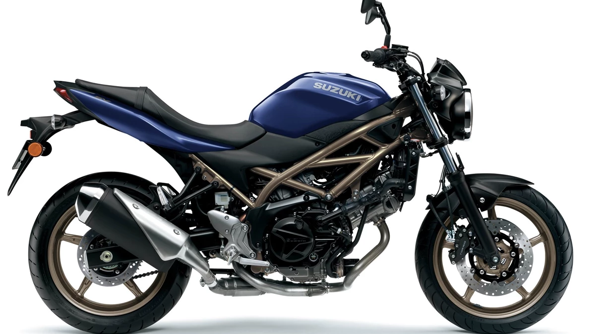 Suzuki SV650 Bild 1: Suzuki SV650
