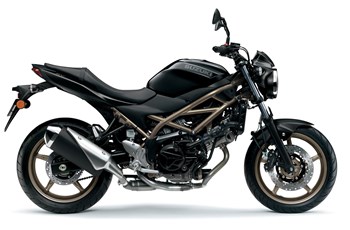 Suzuki SV650 2024 - Bild 5 Suzuki SV650 2024 - Bild 5