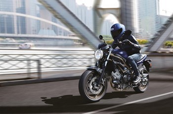 Suzuki SV650 2024 - Bild 6 Suzuki SV650 2024 - Bild 6