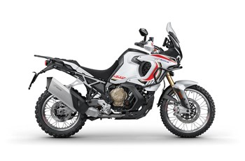 MV Agusta LXP Orioli 2024 - Bild 5