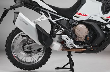 MV Agusta LXP Orioli 2024 - Bild 4