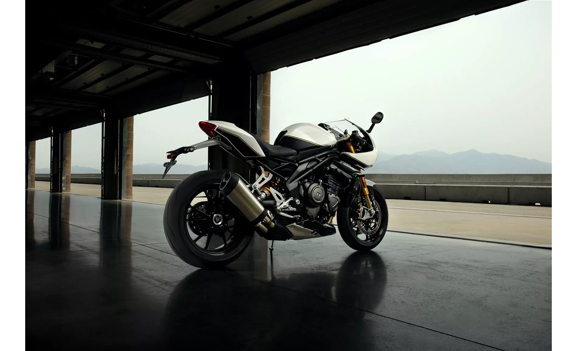 Triumph Speed Triple 1200 RR 2024 Triumph Speed Triple 1200 RR 2024