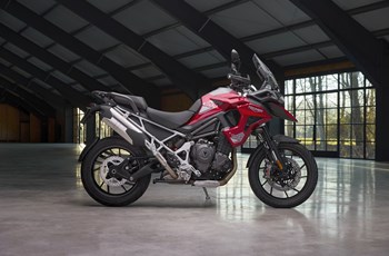 Triumph Tiger 1200 GT PRO 2024 - Bild 12 Triumph Tiger 1200 GT PRO 2024 - Bild 12