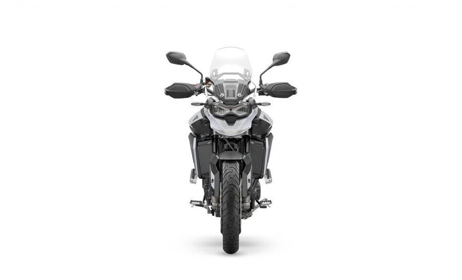 Triumph Tiger 900 GT Bild 8: Triumph Tiger 900 GT