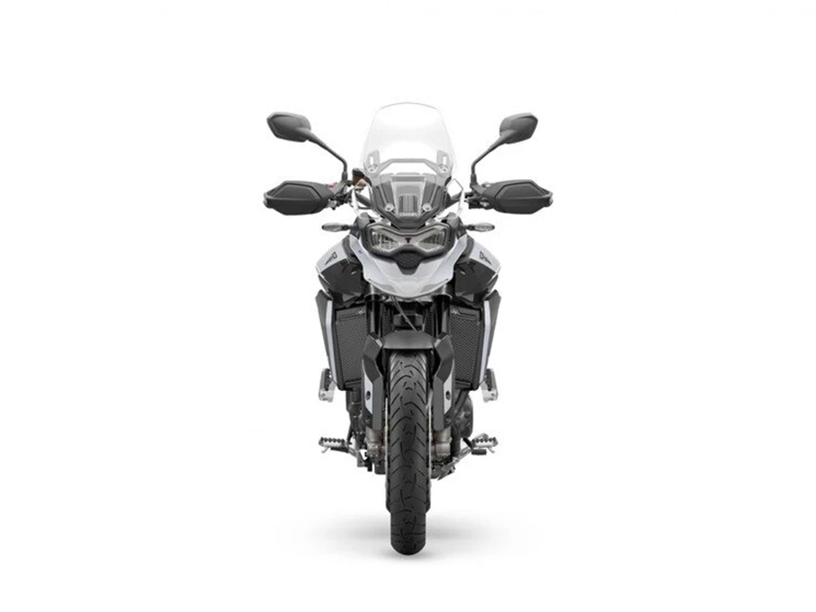 Triumph Tiger 900 GT Bild 8: Triumph Tiger 900 GT