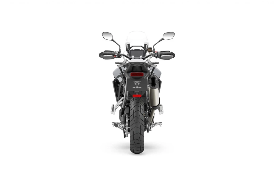 Triumph Tiger 900 GT Pro Bild 3: Triumph Tiger 900 GT Pro