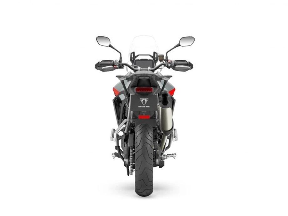 Triumph Tiger 900 Rally Pro Bild 4: Triumph Tiger 900 Rally Pro