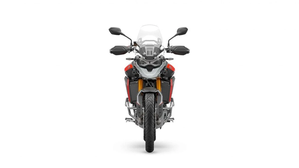 Triumph Tiger 900 Rally Pro Bild 6: Triumph Tiger 900 Rally Pro