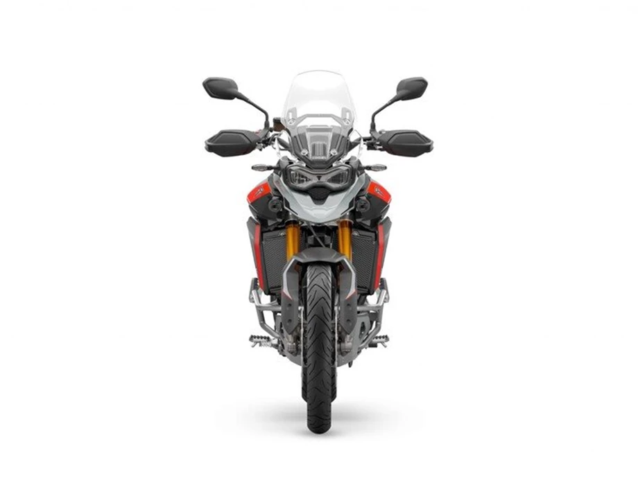 Triumph Tiger 900 Rally Pro Bild 6: Triumph Tiger 900 Rally Pro