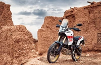 Yamaha Tenere 700 Rally Edition 2024 - Bild 16 Yamaha Tenere 700 Rally Edition 2024 - Bild 16