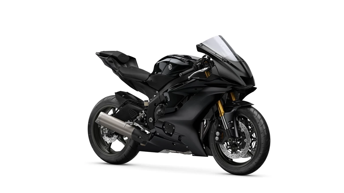 Yamaha R6 RACE Bild 2: Yamaha R6 RACE
