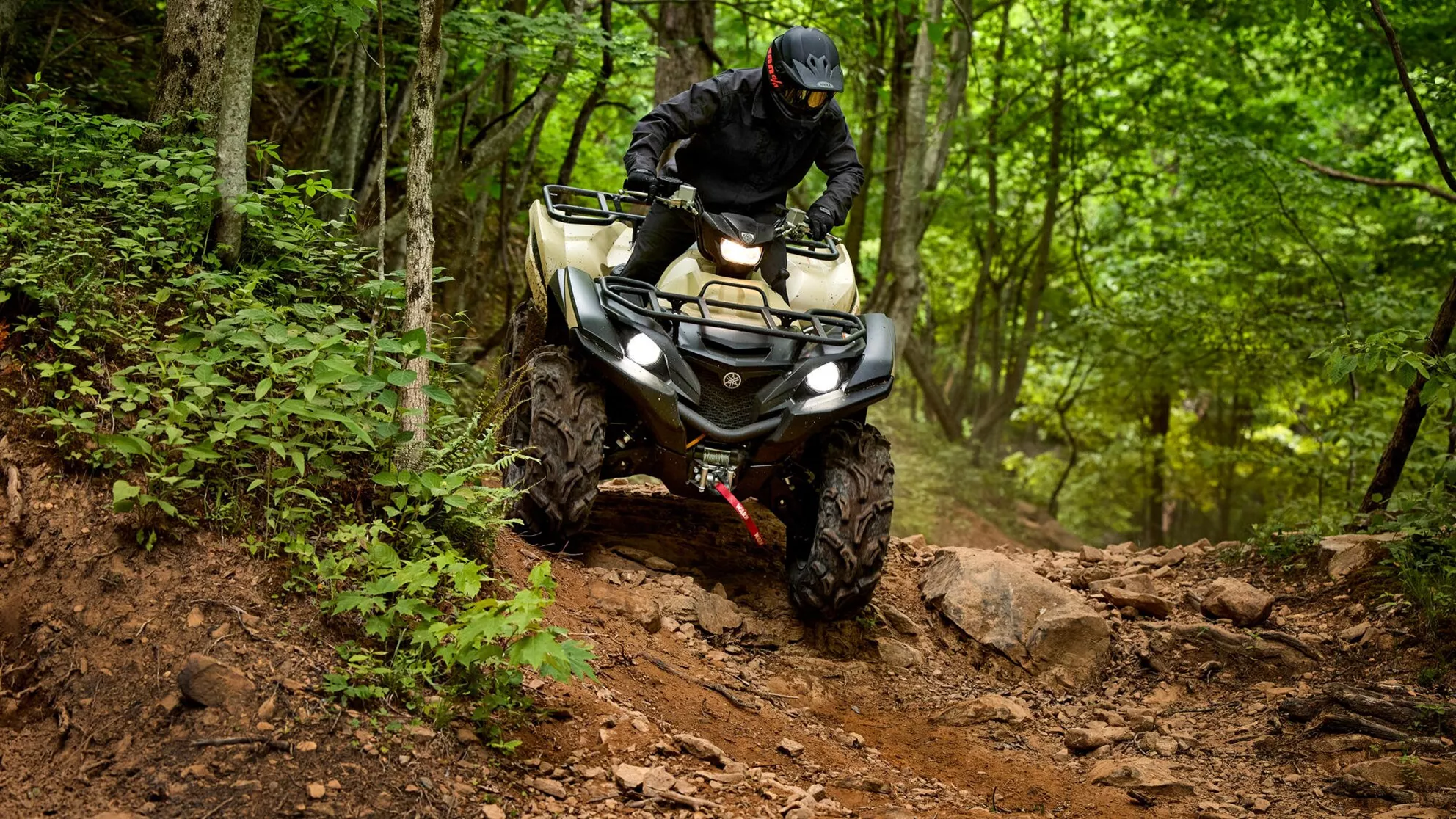 Picture Yamaha Grizzly 700 EPS SE
