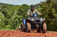 Yamaha Kodiak 450 EPS Alu SE Diff Lock 2024 - Bild 6