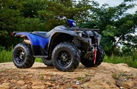 Yamaha Kodiak 450 EPS Alu SE Diff Lock 2024 - Bild 7