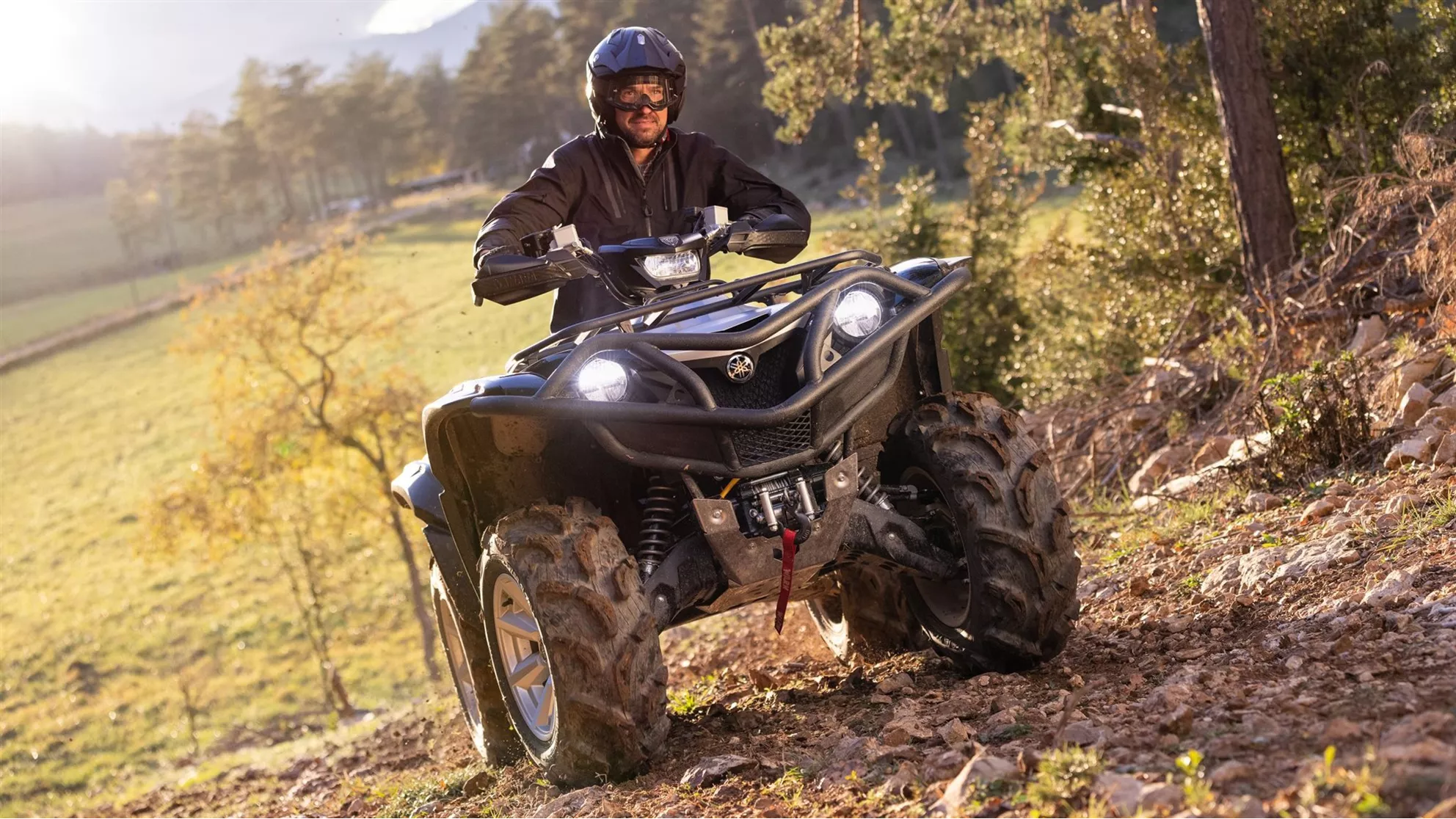 Yamaha Grizzly 700 25th Anniversary - Image 3