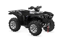 Yamaha Grizzly 700 25th Anniversary 2024 - Bild 1
