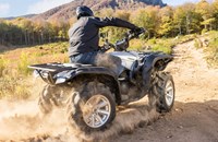Yamaha Grizzly 700 25th Anniversary 2024 - Bild 9