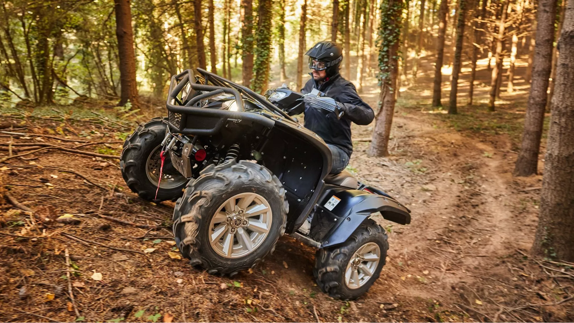 Yamaha Grizzly 700 25th Anniversary - Image 8