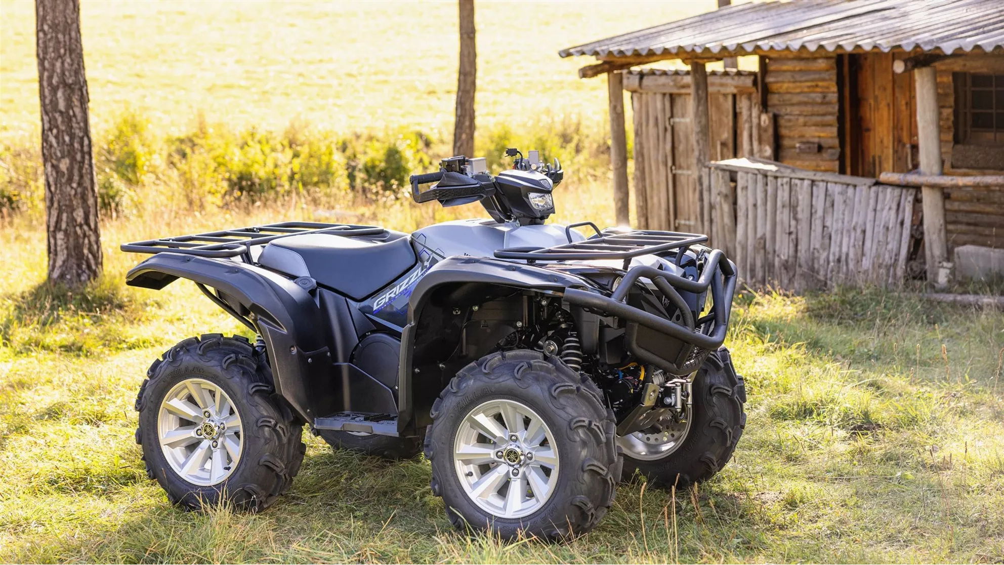 Yamaha Grizzly 700 25th Anniversary - Image 9
