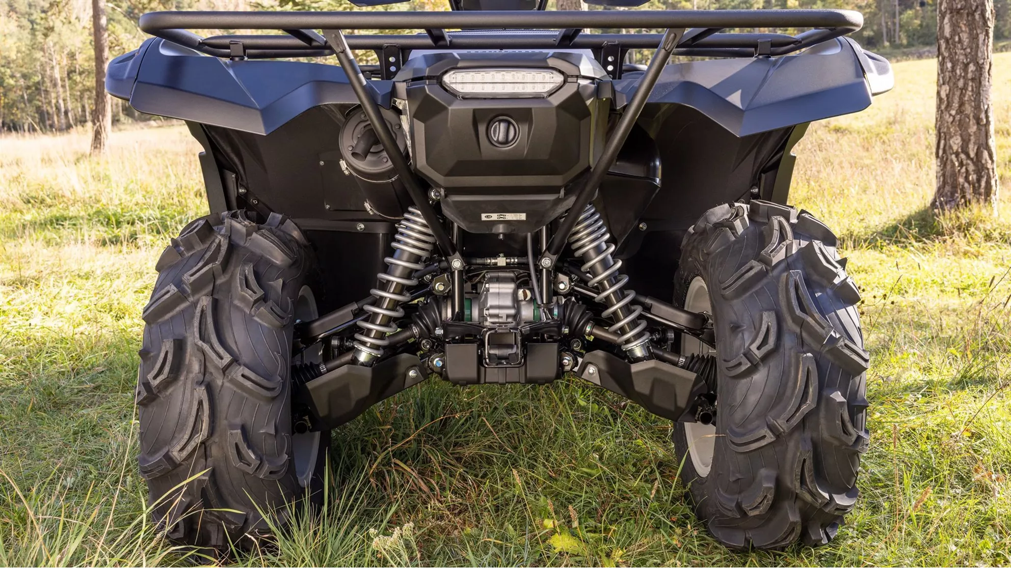 Yamaha Grizzly 700 25th Anniversary - Imagen 11