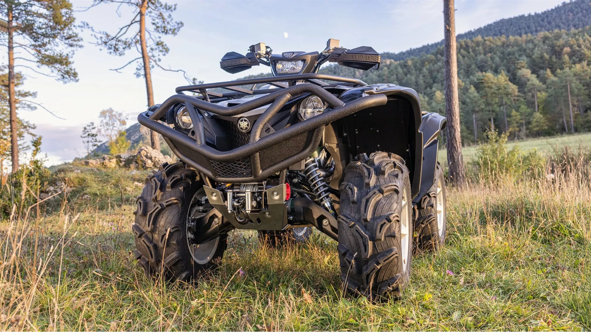 Yamaha Grizzly 700 25th Anniversary - Image 13