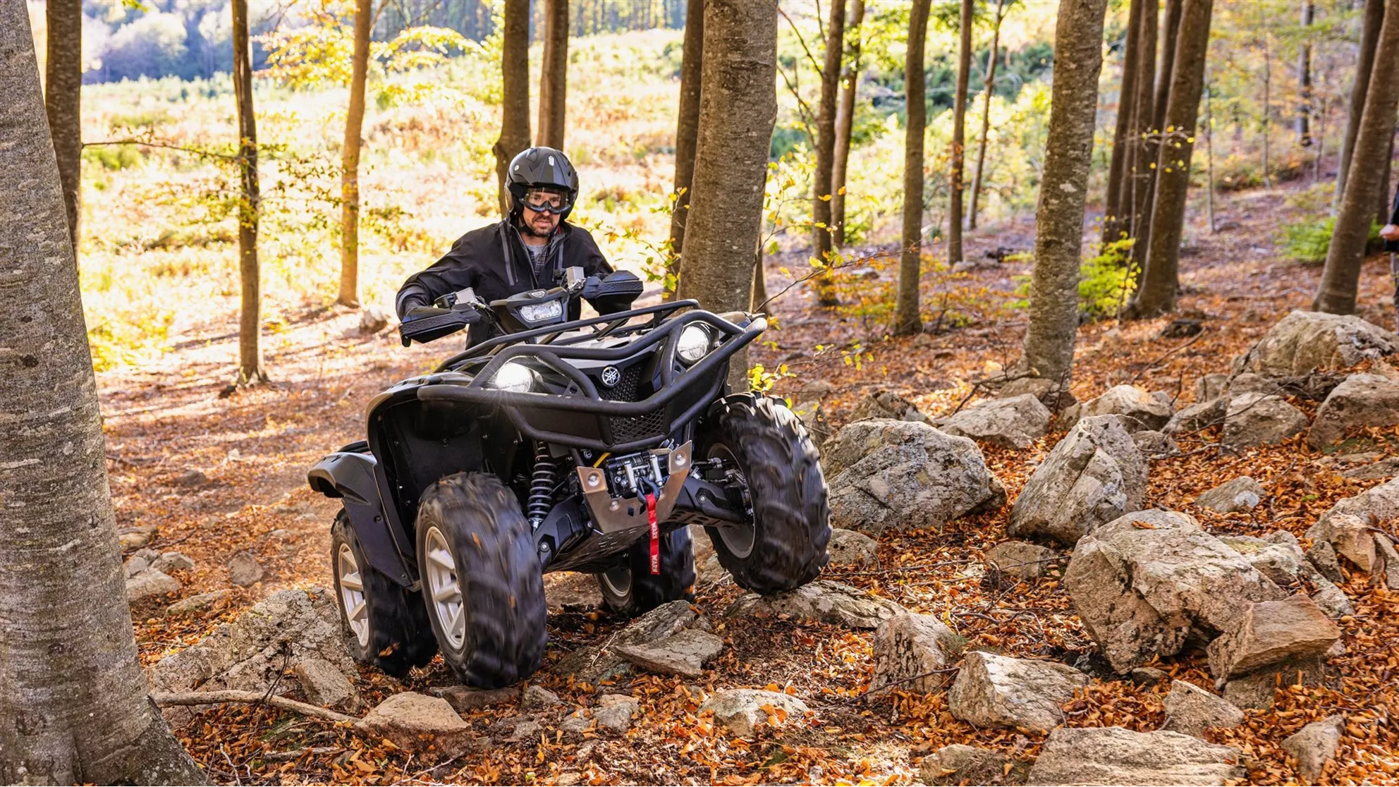 Yamaha Grizzly 700 25th Anniversary - Immagine 14