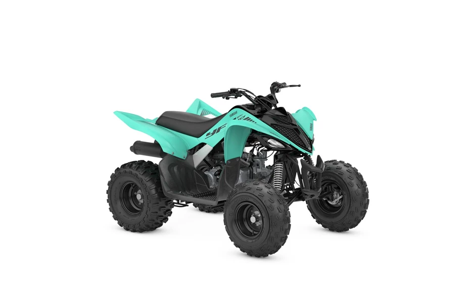 Yamaha YFM110R Bild 3: Yamaha YFM110R