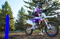 Yamaha YZ250F 50th Anniversary 2024 - Bild 9