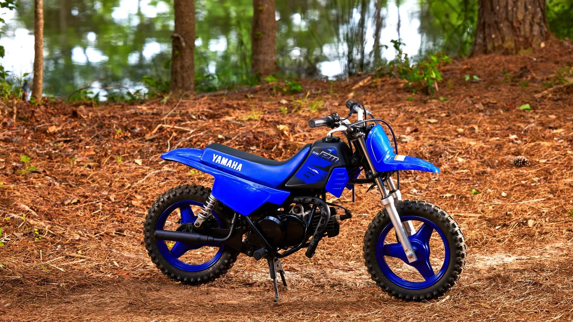 Picture Yamaha PW50