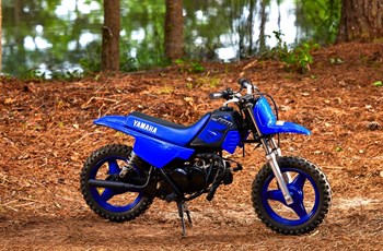 Yamaha PW50 2024 - Bild 8 Yamaha PW50 2024 - Bild 8