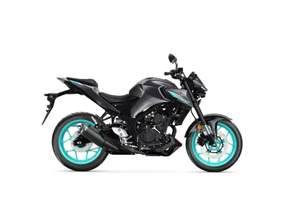 Yamaha MT-03 2024 Yamaha MT-03 2024