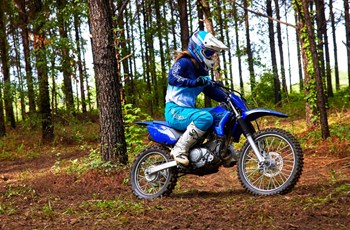 Yamaha TT R125 LW / E 2024 - Bild 7