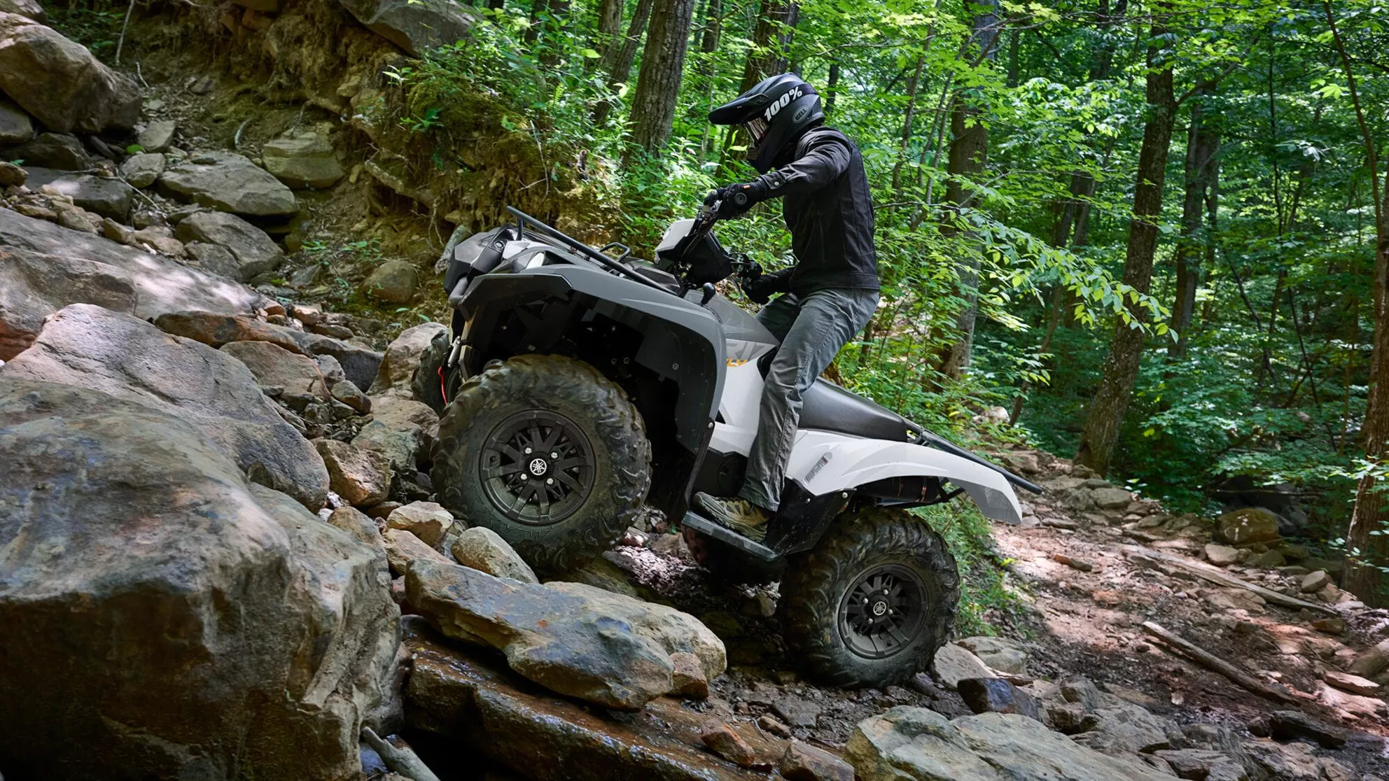 Yamaha Grizzly 700 EPS - Immagine 1