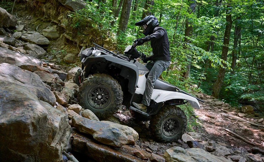 Yamaha Grizzly 700 EPS Bild 2: Yamaha Grizzly 700 EPS