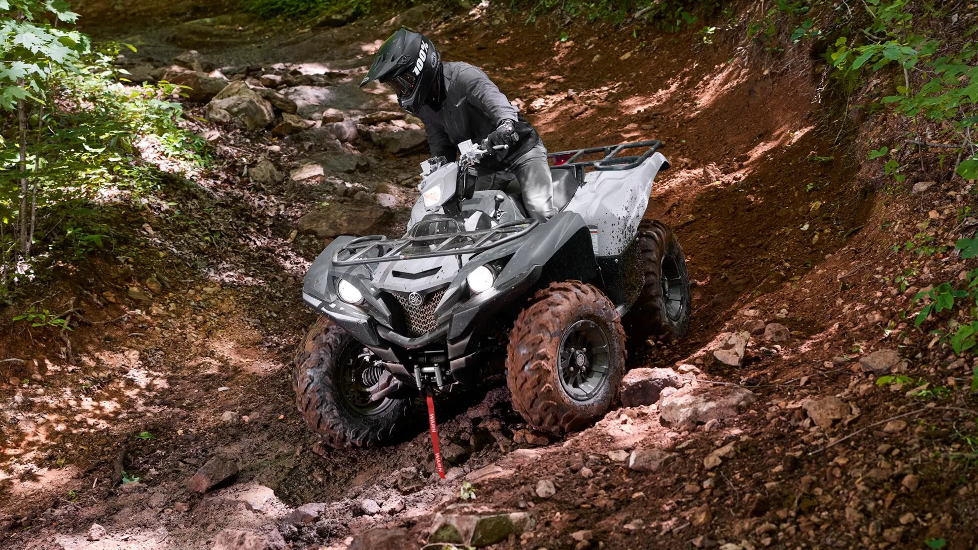 Yamaha Grizzly 700 EPS - Immagine 2