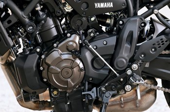 Yamaha XSR700 XTribute 2024 - Bild 11 Yamaha XSR700 XTribute 2024 - Bild 11