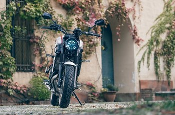 Yamaha XSR700 XTribute 2024 - Bild 18 Yamaha XSR700 XTribute 2024 - Bild 18