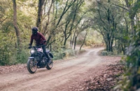 Yamaha XSR700 XTribute 2024 - Bild 19 Yamaha XSR700 XTribute 2024 - Bild 19