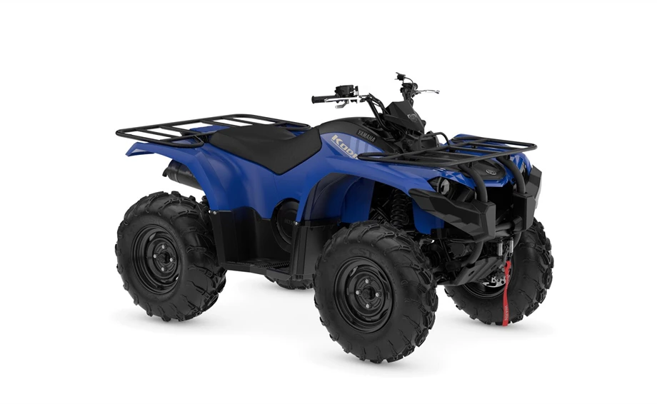 Yamaha Kodiak 450 Bild 3: Yamaha Kodiak 450