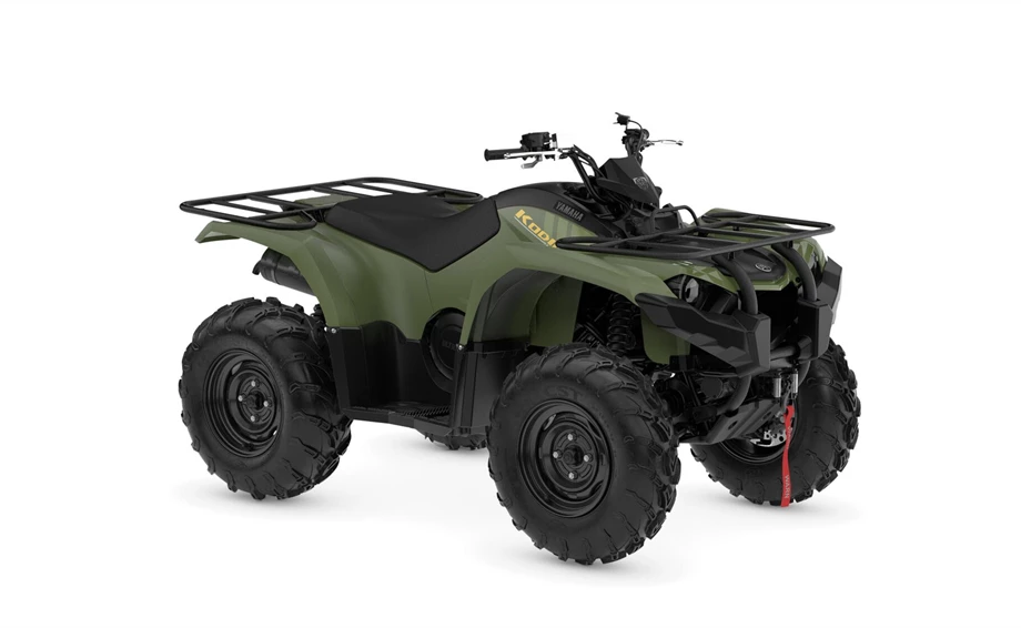 Yamaha Kodiak 450 Bild 1: Yamaha Kodiak 450