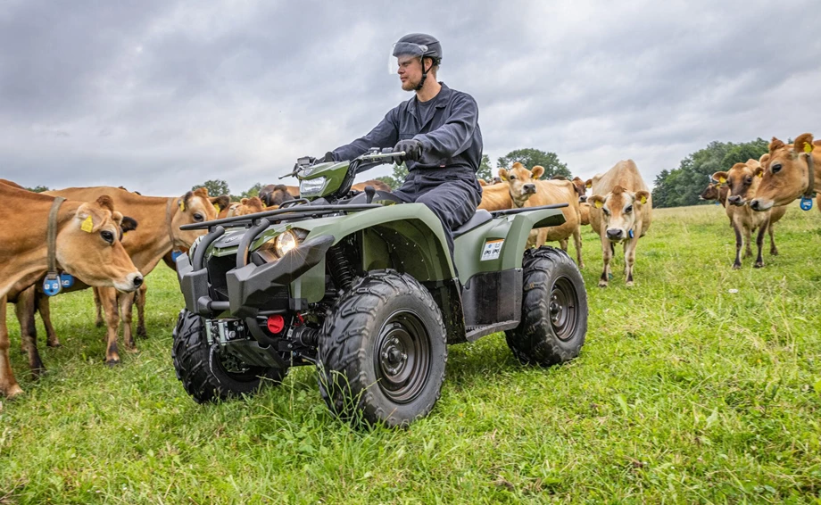 Yamaha Kodiak 450 EPS Bild 4: Yamaha Kodiak 450 EPS