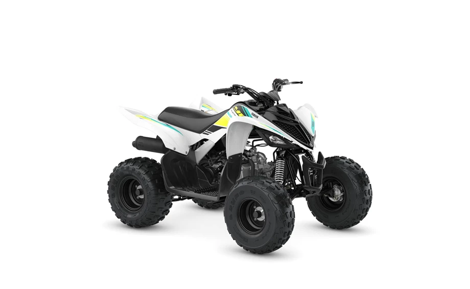 Yamaha YFM90R Bild 3: Yamaha YFM90R