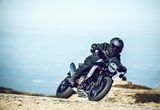 Husqvarna Svartpilen 801 2024 Bilder