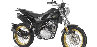 Rieju Tango 125i Scrambler 2024 vs Yamaha XSR125 Legacy 2024