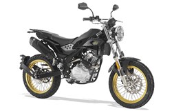 Rieju Tango 125i Scrambler 2024