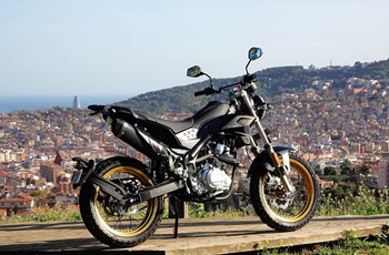 Rieju Tango 125i Scrambler 2024 - Bild 7