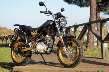Rieju Tango 125i Scrambler 2024 - Bild 8